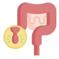 Appendix